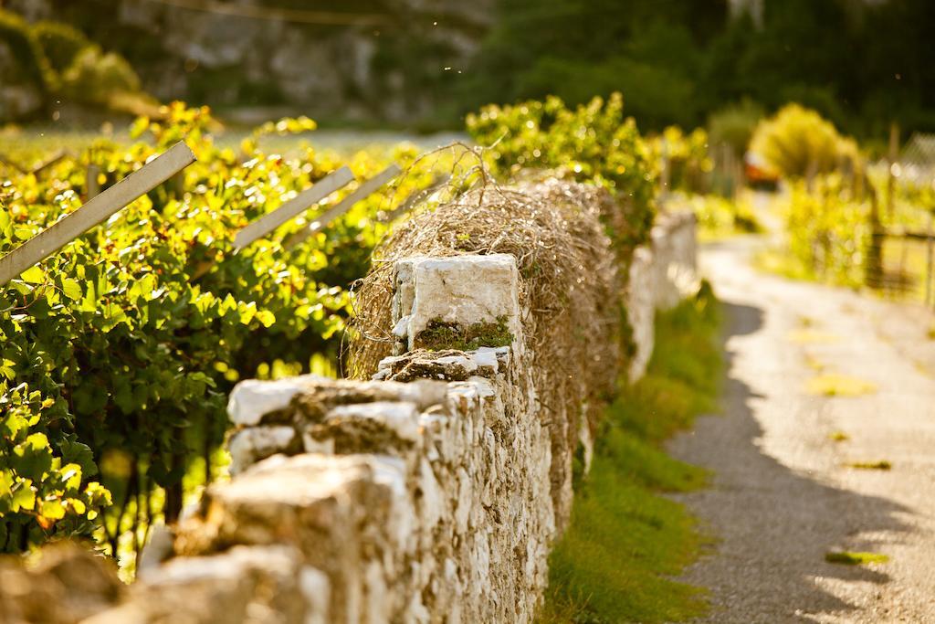 Hotel Continental - TonelliHotels Torbole Sul Garda Esterno foto